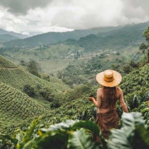 Colombia filon de chillurco