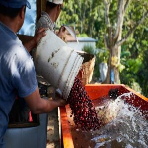 NICARAGUA Bethania