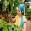 GUATEMALA SAN JERÓNIMO